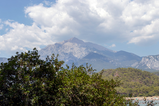 mountain landscape, deepened photo with bushes in the foreground. Taurus Mountains, Antalya
