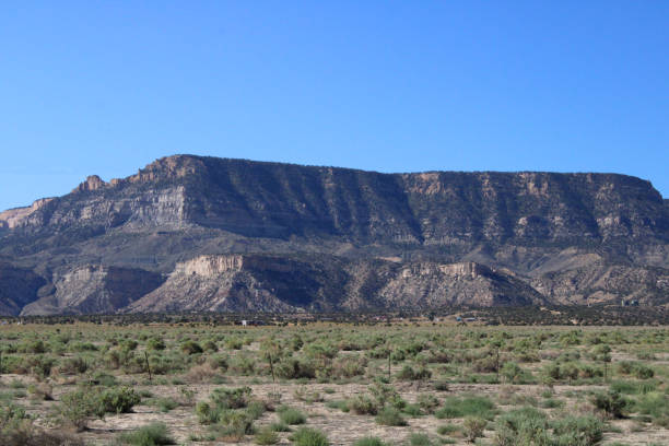 Mountain Landscape of Utah with Plants in the Foreground and a Clear Blue Sky stock photo