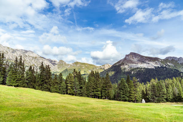 Mountain landscape - peaks in the clouds against the blue sky. Hills and mountains covered with pine forest on the foreground. Italian alps in early autumn - mountain range in a sunny day. hohe tauern range stock pictures, royalty-free photos & images