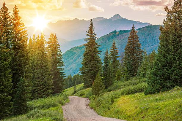 山の風景 - コロラド州 写真 ストックフォトと画像