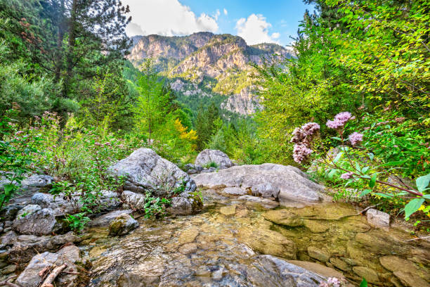 Mountain landscape. Prionia, Greece Natural landscape with stream and Olympus range. Prionia, Pieria, Greece mount olympus stock pictures, royalty-free photos & images