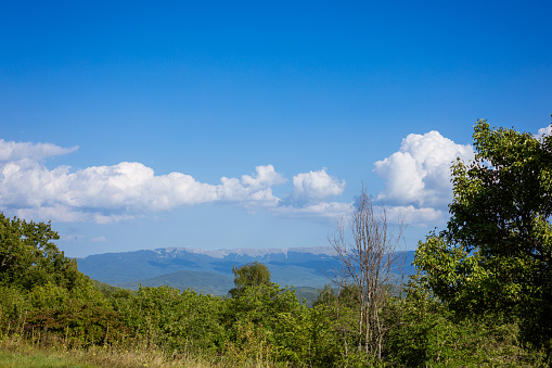 mountain landscape on a sunny day with blue sky and green deciduous forest. white puffy clouds against a backdrop of hazy mountains