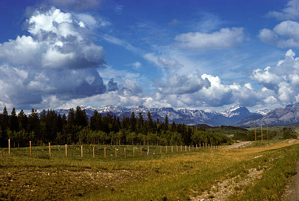 Mountain meadow in Alaska Meadow flanked by majestic mountains and billowing clouds in Alaska hearkencreative stock pictures, royalty-free photos & images