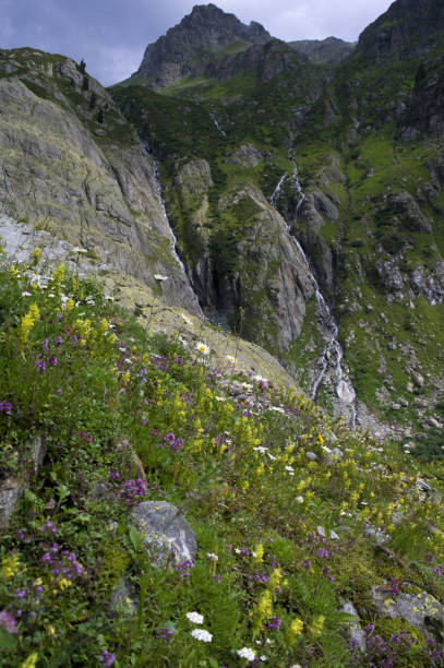 berg - triftgletscher stock-fotos und bilder