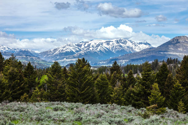 Mountain Range seen from Beartooth Highway, Wyoming stock photo