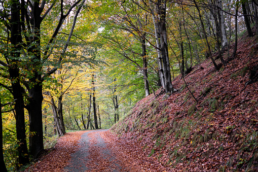 Mountain road on the Italian Alps in autumn
