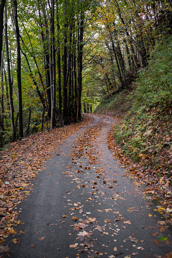 Mountain road on the Italian Alps in autumn
