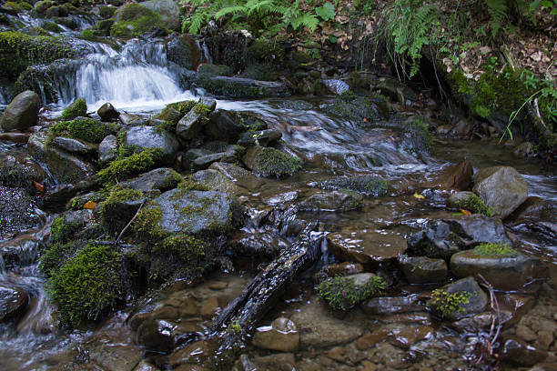 Photo of Mountain stream.