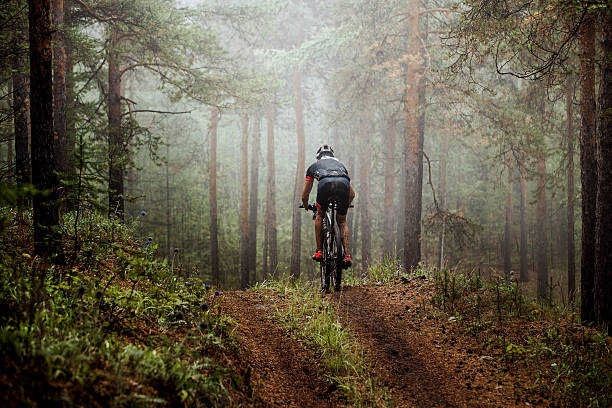 mountainbiker rides a bicycle along a forest trail stock photo