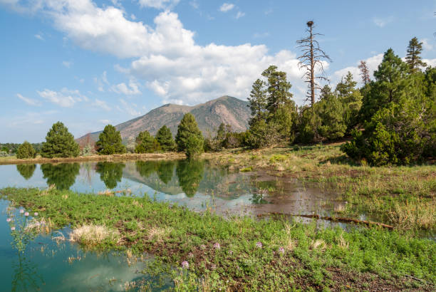 Mountains Reflected in a Pond stock photo