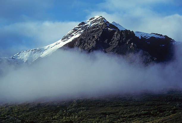mountaintop surrounded by morning clouds Rugged, snow-capped mountaintop in Alaska is peeking through the morning clouds and fog. Dark green foothills appear below the cloud-line. hearkencreative stock pictures, royalty-free photos & images