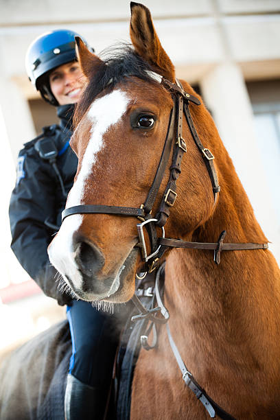 Mounted Patrol Unit stock photo