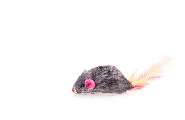 Mouse toy cat stock photo