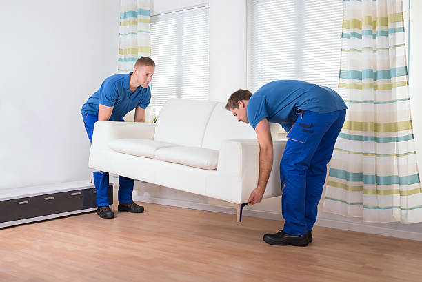 Movers Placing Sofa On Floor At Home Full length of male movers placing sofa on hardwood floor at home move furniture stock pictures, royalty-free photos & images