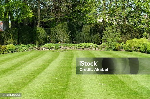 istock Mowed Lawn in a Garden 1368434564