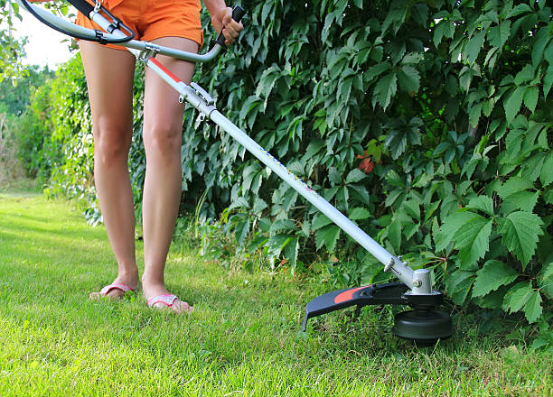 Mowing the Grass Young woman Mowing the Grass hedge clippers stock pictures, royalty-free photos & images