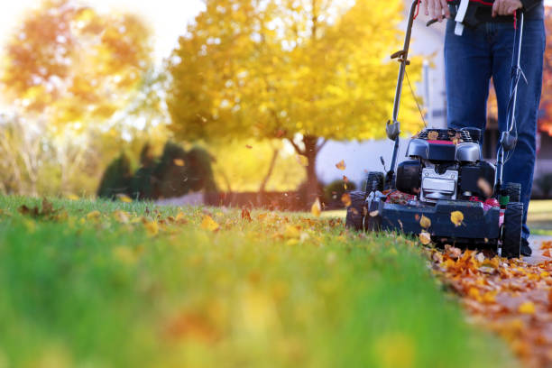 Mowing the grass with a lawn mower in sunny summer. Gardener cuts the lawn in the garden Mowing the grass with a lawn mower in sunny autumn. Gardener cuts the lawn in the garden formal garden stock pictures, royalty-free photos & images