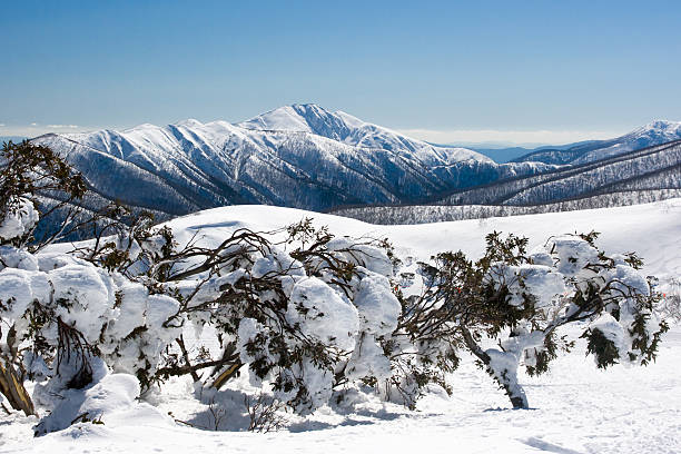 Mt Hotham in Winter stock photo