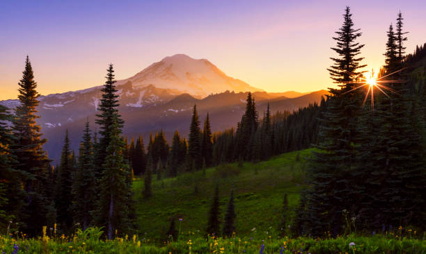 Mt Rainier at Dusk Beautiful view on Mt Rainier opens from Naches Peak Loop trail mt rainier stock pictures, royalty-free photos & images