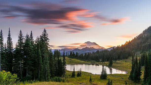 MT.Rainier in sunset MT.Rainier National Park, WA, USA. king county washington state stock pictures, royalty-free photos & images