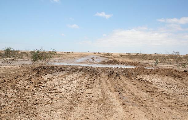 muddy salt road after heavy rain, skeleton coast, namibia, africa - extreem terrein stockfoto's en -beelden