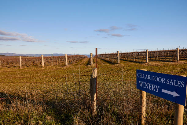 Mudgee vineyards, New South Wales, Australia Scenes from Mud mudgee australia stock pictures, royalty-free photos & images