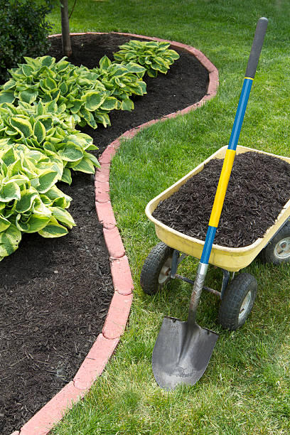 Mulch Bed With Edging stock photo