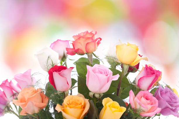 Multi colored bouquet of mother's day, birthday or special occasion roses with a defocused bokeh colorful background