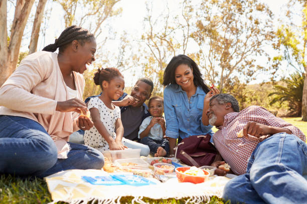 multi generation family enjoying picnic in park together - picnic imagens e fotografias de stock