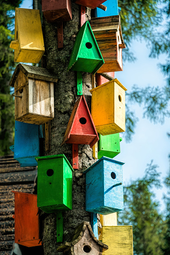 Spring garden village decorations. Colorful multicolored wooden birdhouses for feeding wild birds, hung on the trunk of an old tree