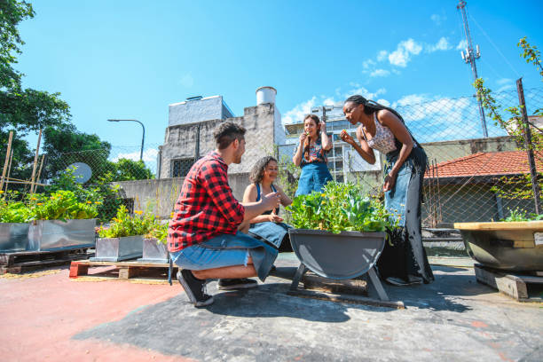 Multi-Ethnic Urban Agriculturalists Learning about Plants Group of urban gardeners in 20s and 40s caring for plants and sampling lettuce in Buenos Aires rooftop garden. community garden stock pictures, royalty-free photos & images