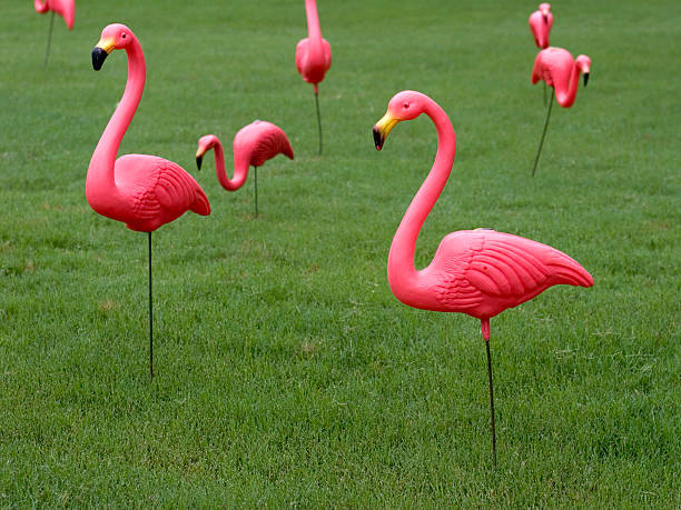 multiple pink plastic flamingos on lawn - flamingo stockfoto's en -beelden