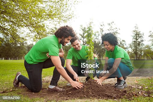 istock Multiracial volunteers planting in public park 1351442130