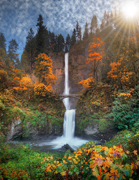 Multnomah Falls in autumn colors high resolution This is a very high resolution panorama photograph of Multnomah Falls in autumn colors. columbia river gorge stock pictures, royalty-free photos & images