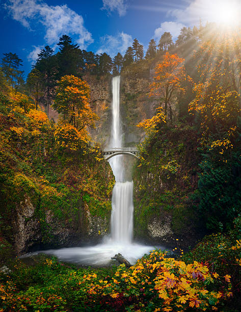 Multnomah Falls in Autumn colors  high resolution Multnomah Falls in Autumn colors high resolution panorama columbia river gorge stock pictures, royalty-free photos & images