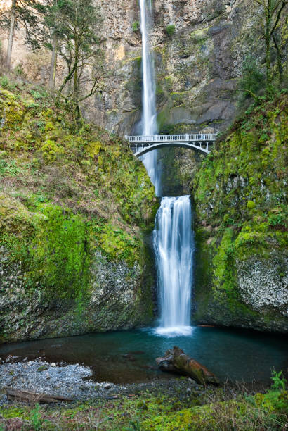 Multnomah Falls The Columbia Gorge between Washington State, and Oregon is known for its many waterfalls on both sides of the river. The most famous of the waterfalls is Multnomah Falls, located along the Historic Columbia River Highway in Oregon between the towns of Corbett and Dodson. jeff goulden columbia gorge stock pictures, royalty-free photos & images