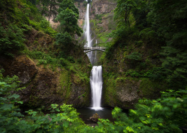 Multnomah waterfall near Portland, Oregon Flowing Water, Silk, Springtime, Waterfall, Multnomah Falls columbia river gorge stock pictures, royalty-free photos & images
