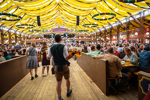Munich, Germany, Oktoberfest, Waiter holding beers, tent interior background