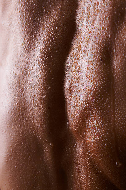 Muscular Female Back Powerful muscles with water drops on a woman's back. Focus is in the center of th e image. human skin close up stock pictures, royalty-free photos & images