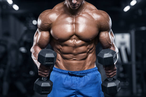 Body Building Stock Photos Pictures Royalty Free Images Istock Images, Photos, Reviews