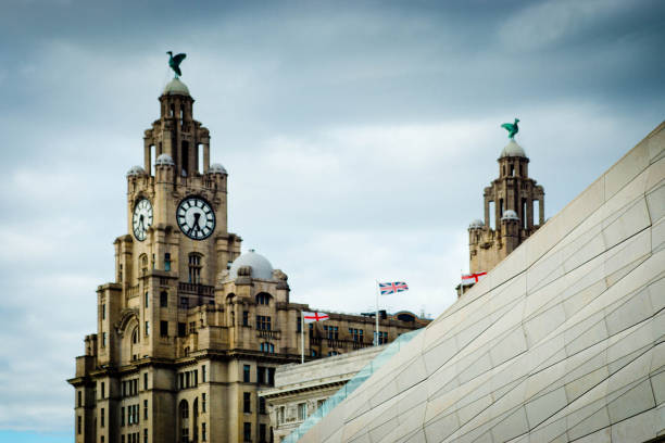 Museum of Liverpool and Liver Building The Liver building in the background with the Museum of Liverpool in the foreground. liverpool docks and harbour building stock pictures, royalty-free photos & images