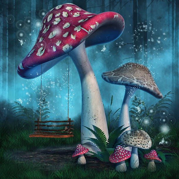 5 276 Mushroom Forest Fantasy Stock Photos Pictures Royalty Free Images Istock