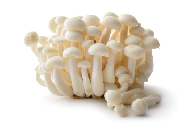 Mushrooms: Enoki Mushrooms Isolated on White Background Mushrooms: Enoki Mushrooms Isolated on White Background enoki mushroom stock pictures, royalty-free photos & images