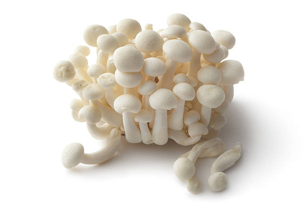 Mushrooms: Enoki More Photos like this here... enoki mushroom stock pictures, royalty-free photos & images