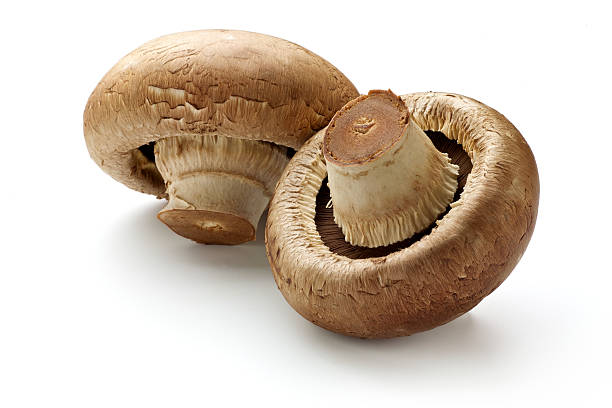 Crimini Mushroom Stock Photos, Pictures & Royalty-Free Images - iStock