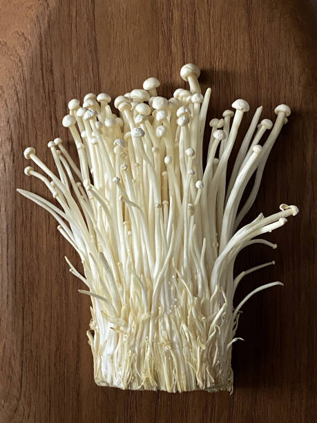 mushrooms Pile of mushrooms on a wooden background enoki mushroom stock pictures, royalty-free photos & images