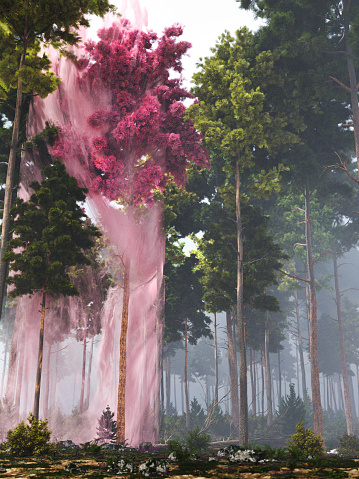 Smoke rising around a mysterious pink tree