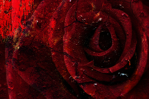Mysterious Red Rose With Dark Cracks And Remains Of Paint For Abstract ...