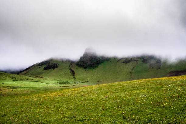 The mysterious landscape of Iceland-icelandic cuisine photos and image files
