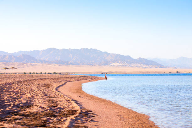Nabq coast in the north of Sharm El Sheikh, with views across the Aqaba Gulf, South Sinai, Egypt, stock photo